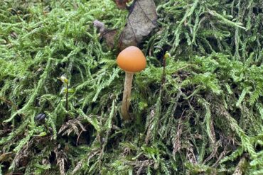 Wdzięczność – to coś więcej niż słowo